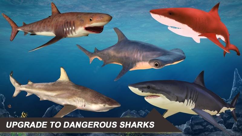 鲨鱼模拟器2018游戏截图5