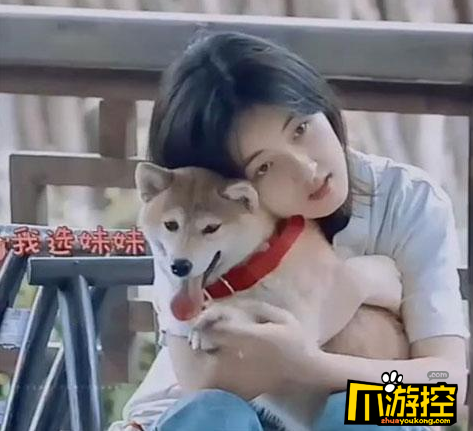 张子枫抱狗姿势被圈粉,有这样一个甜美真实的妹妹才是向往的生活