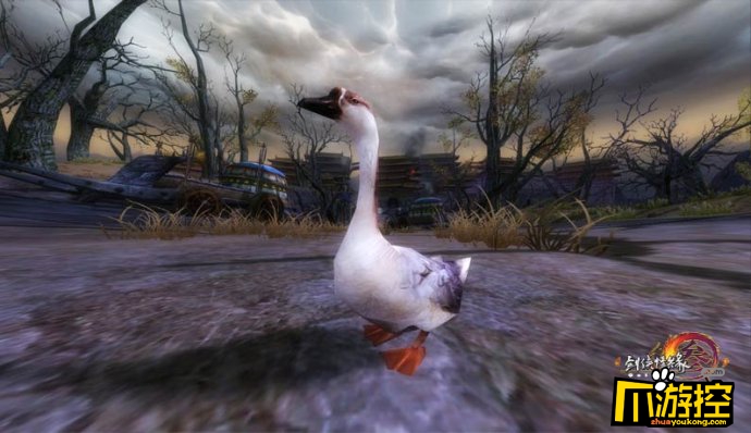 剑三宠物鹅小灰怎么抓 鹅小灰抓取流程攻略