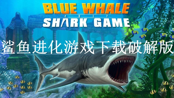 鲨鱼进化游戏下载破解无限版